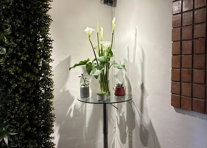 Casa Saphi